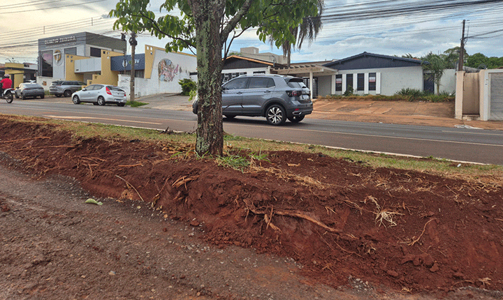 Ciclovia da Plaenge amplia risco de alagamentos e ameaça árvores em Campo Grande