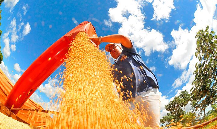 MS se consolida como estado exportador de produtos para mais de 120 países