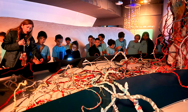Projeto une arte, ciência e sustentabilidade no museu do Bioparque Pantanal