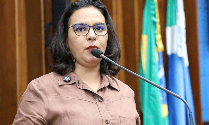 Pauta central para o desenvolvimento de MS, Educação motiva debate em plenário