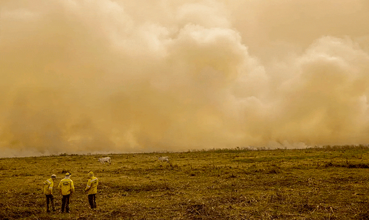 Avanço agropecuário e crise hídrica ameaçam o Pantanal