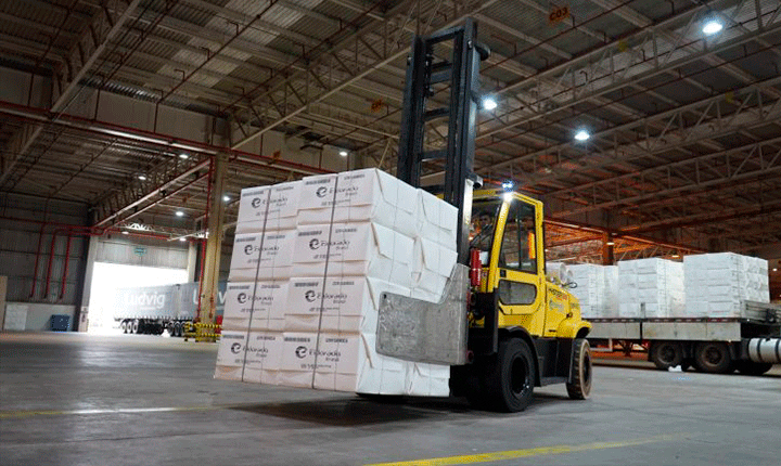 Celulose mantém liderança e exportações de MS crescem 4,24%