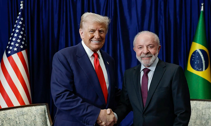 Divulgação