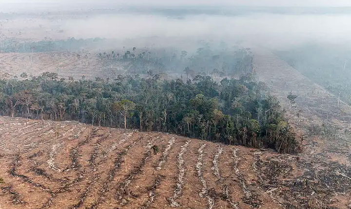 Pantanal sob cerco: agrotóxicos, grilagem e destruição ambiental