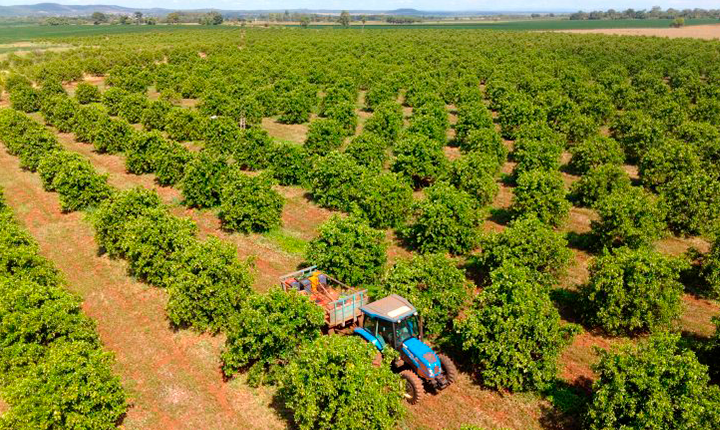 MS Irriga avança com potencial para irrigar 4 milhões de hectares