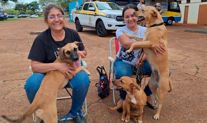 Caravana da Castração inicia o ano em Eldorado, na próxima quinta
