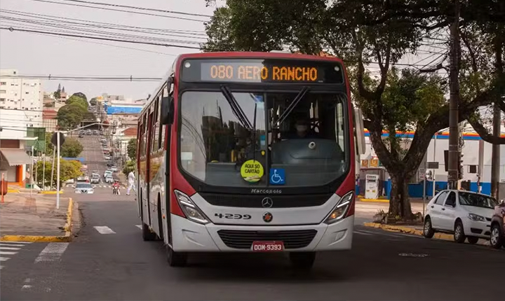 Divulgação