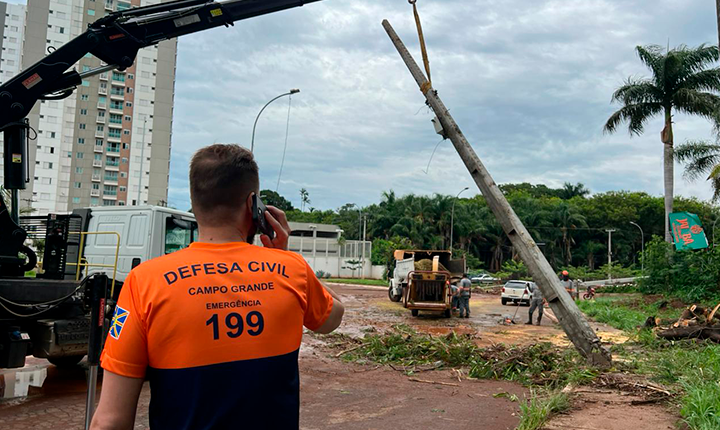 Divulgação
