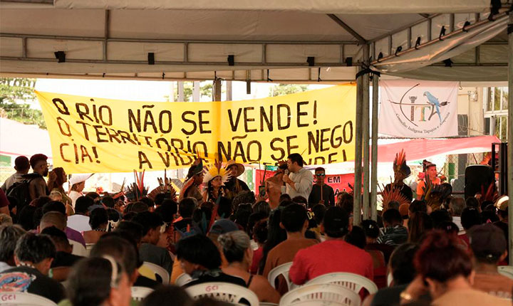 Divulgação