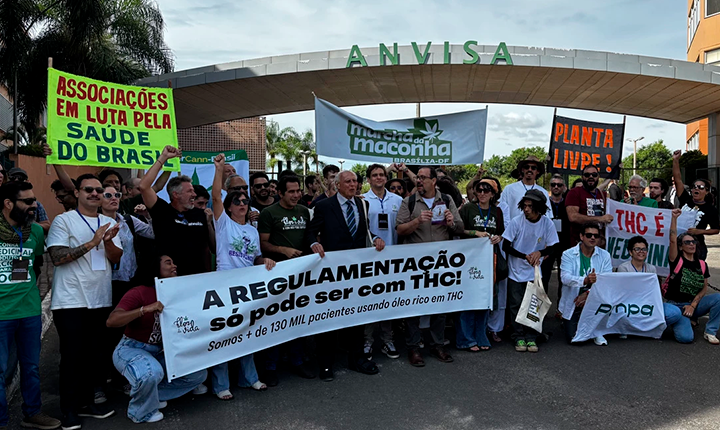 O cultivo de maconha começa a sair do armário no Brasil