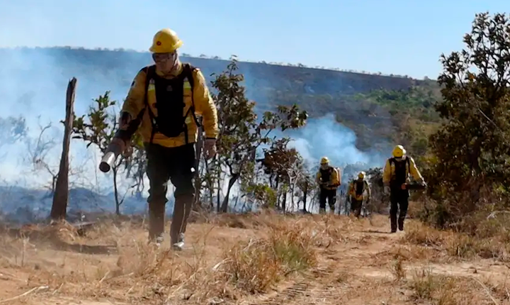 Brigadas fogo índios