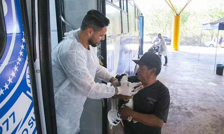 Caravana da Castração abre 1,7 mil vagas gratuitas em Campo Grande