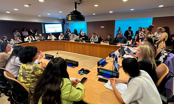 MS leva programa Protege à ONU