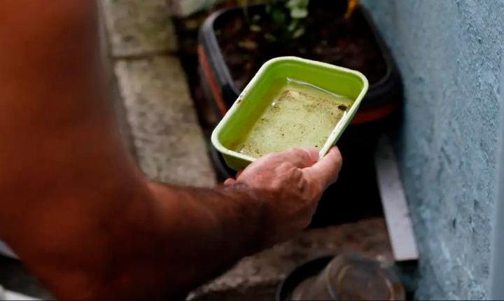 MS integra vacinação contra a chikungunya após 648 confirmados
