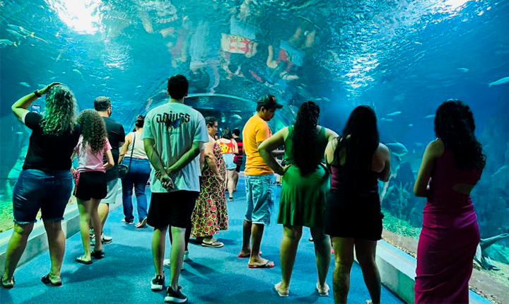 Bioparque Pantanal celebra quatro anos colocando MS em destaque internacional