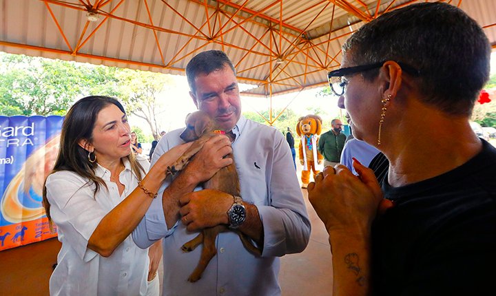 Caravana da Castração atende 20 mil animais em 63 municípios do Estado