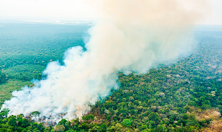 Projeto na Câmara dos Deputados pode atrapalhar até 70% das ações do Ibama na Amazônia