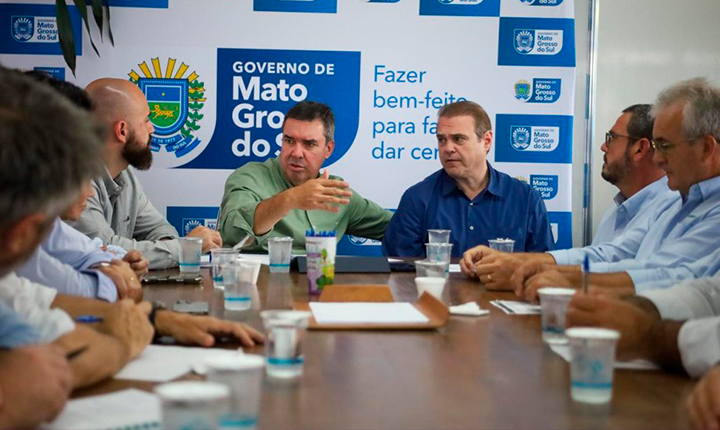 Suínos, aves, peixes, florestas e bovinos