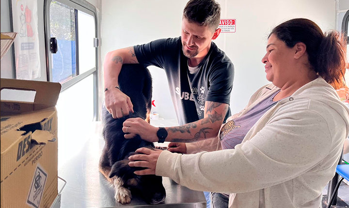 Com mais de 11 mil microchipagens, tecnologia amplia proteção aos pets em CG