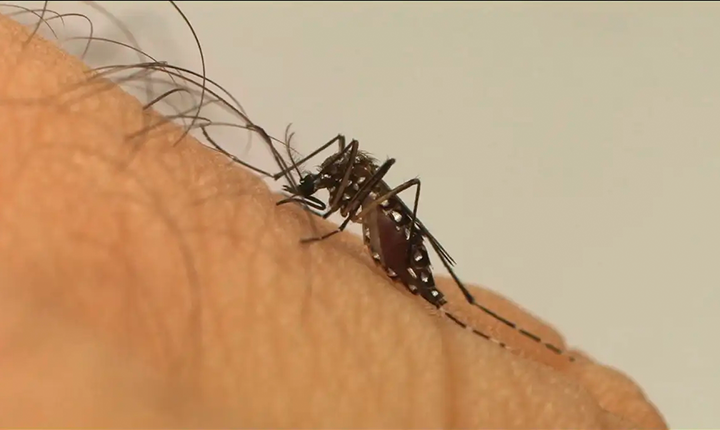 Campo Grande soma 75 novos casos de dengue e mantém seis bairros em alerta