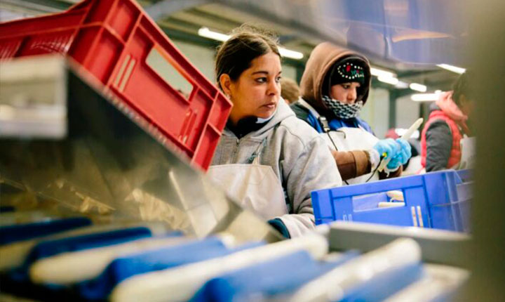 O mito da “geração empreendedora”