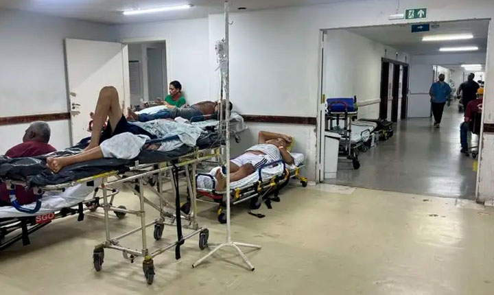 Divulgação