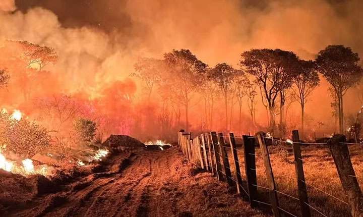 MS declara emergência ambiental por 180 dias diante do risco de incêndios florestais